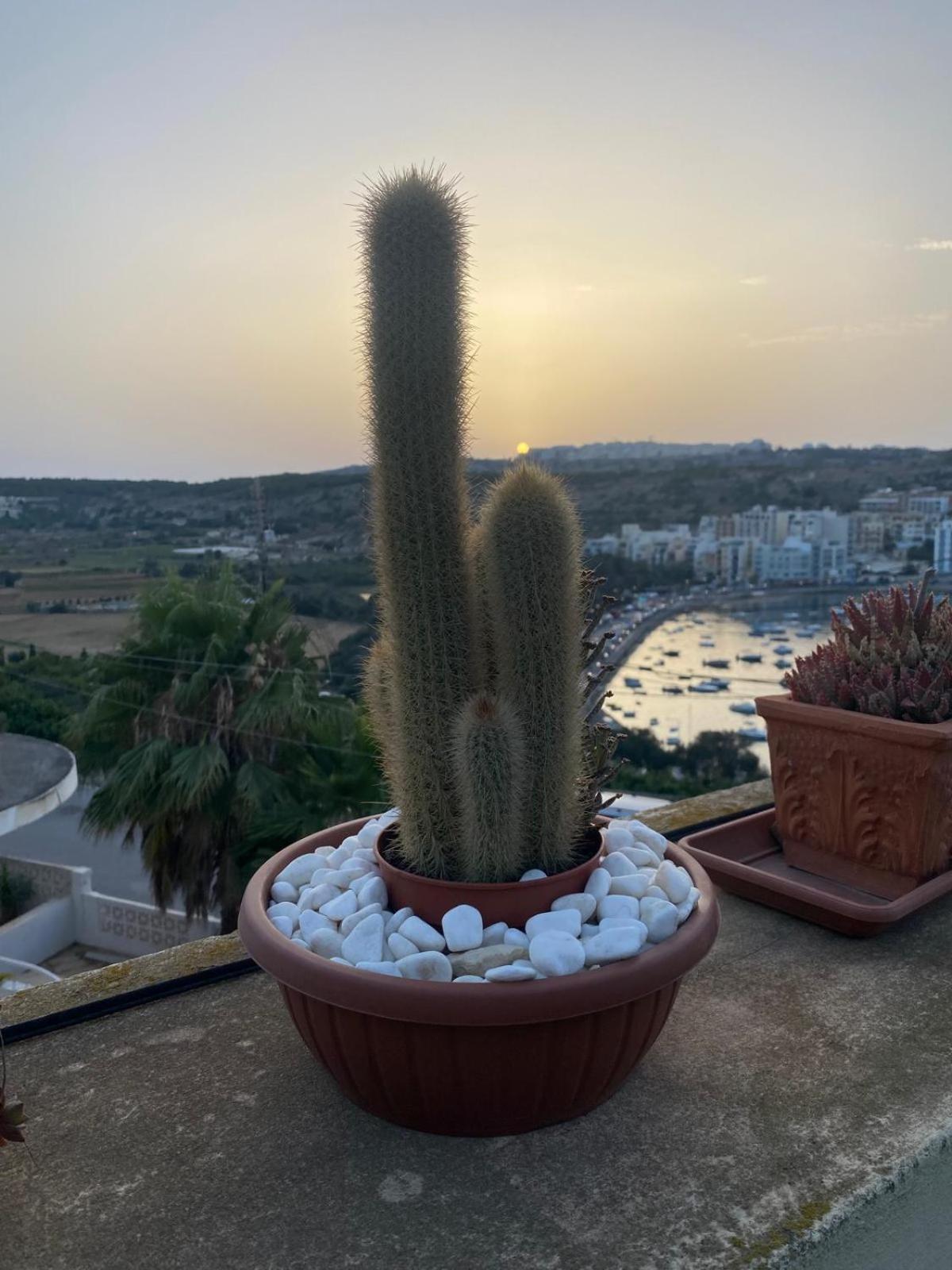 Villa Zammitella San Pawl il-Baħar Kültér fotó